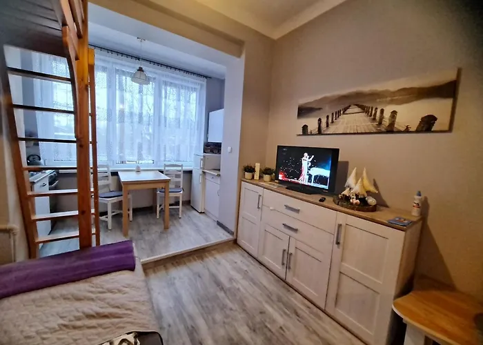 Niezalezny Apartament Przy Parku Zdrojowym 667-666-609